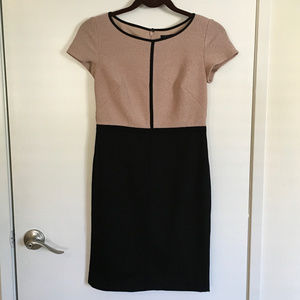 Ann Taylor Petite p00 Two Toned Sheath Dress